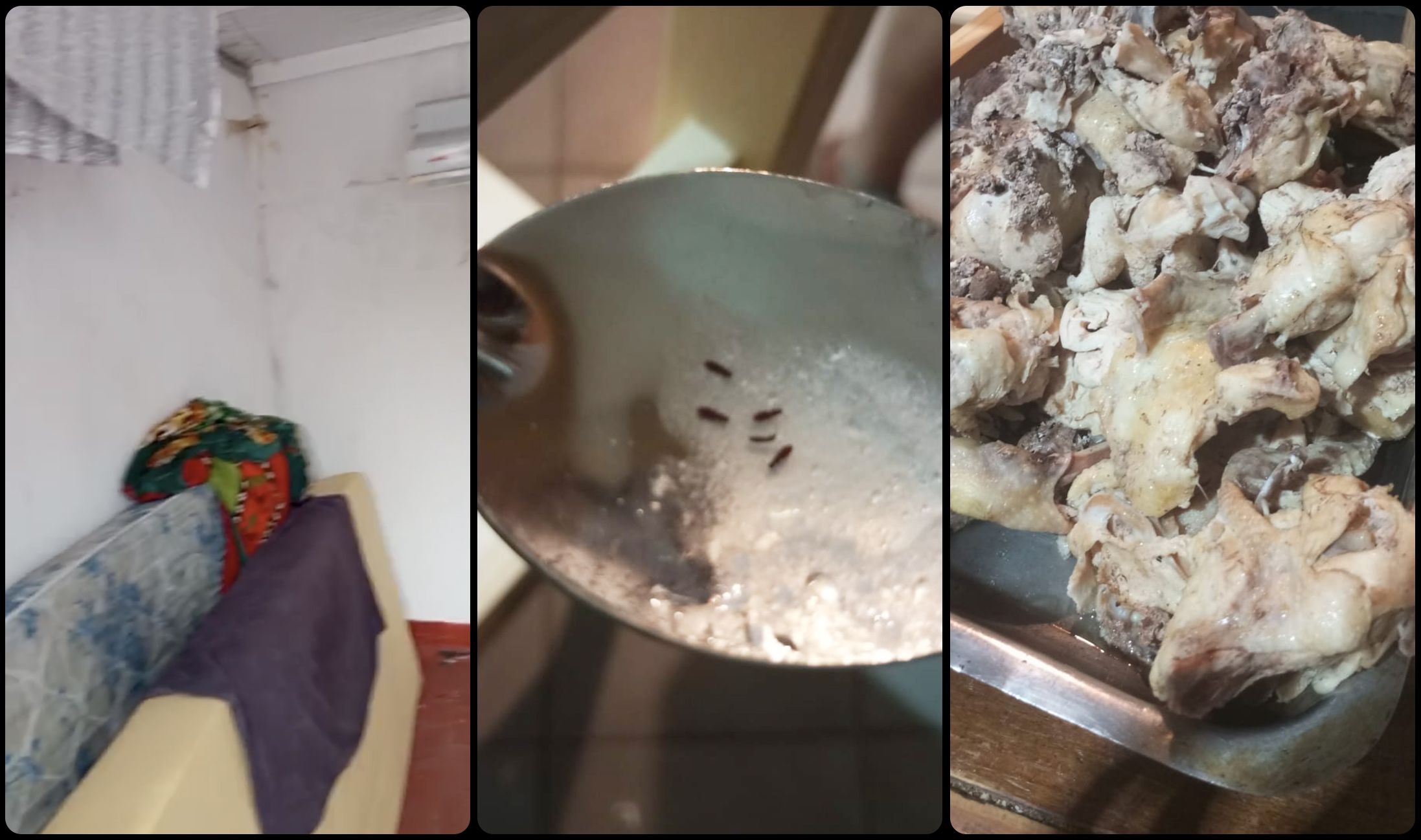 阿根廷足球青训暗面：天赋工厂背后的残酷系统